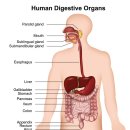 태현한의원 이미지