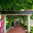 장미공원길 이미지