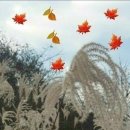 숨겨진 역사, 가야 이미지