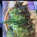 석남유통