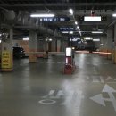 디오 동물병원 이미지