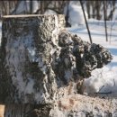 자연요양원 이미지