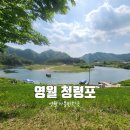 영월가볼만한곳 청령포 슬픈 역사가 강물 따라 흐르는 단종 유배지 관람료 입장료