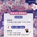 렛츠런파크 부산경남 분수광장 옆 | 2026년 과천 렛츠런파크 서울 벚꽃축제🌸 현장 분위기, 솔직 후기