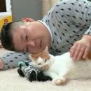 은삼이네 이미지