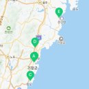 유림-1133 이미지