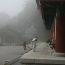 도리사 - 1026 | 도리사
