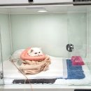 연향동물병원 이미지
