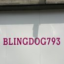 블링독793 이미지