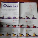 짐볼밴드 | 홈트 코어운동 멜킨 짐볼 사이즈 추천 및 루프밴드 후기