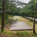 청송캠핑장 이미지