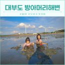 GS25대부바다점 | 대부도 방아머리해수욕장 주차장 물때 무료 갯벌체험