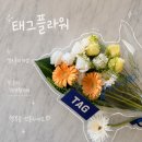 플라워케이크세렝 | 해운대 해리단길꽃집 | 태그플라워 셀프플라워샵 거베라 이벤트가 한송이 900원부터라니?!