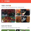 털로덮인친구들 수원매교점 이미지