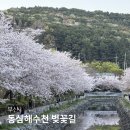 반송2호교 교차로 | 부산 벚꽃명소 동삼해수천 벚꽃 개화상태 영도 아미르공원