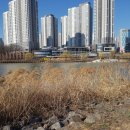 호수공원 제4화장실(매점) 이미지