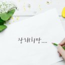 선드리즈