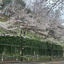 도마치근린공원 이미지