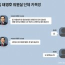 [단독] 태영호실의 &#39;수상한&#39; 청년보좌관…후원자 손녀에 지역 사업가 딸도 이미지