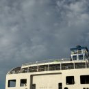 꼬독꼬독 | 제주 하루