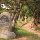 문학공원주차장 | 전남 장흥 가볼 만한 곳 추천_한승원문학공원 &amp; 수문해수욕장 산책코스