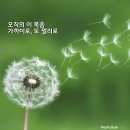 한빛교회 이미지
