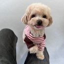 슬기유치원 이미지