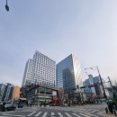 다이나믹짐스튜디오 | 구로 디지털단지 스튜디오 볼더 클라이밍 후기