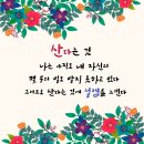 일러스트 캘리그라피 이미지