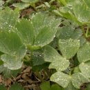 해풍민박 이미지