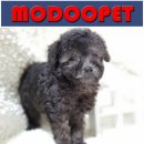 모두와샵 이미지