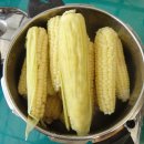 호성농장 이미지