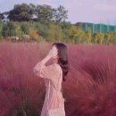 나리다방 이미지