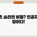 승리스포츠 이미지