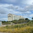 제주도게스트하우스파티고투베드 이미지