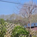 꽃냥이네 촌집 이미지