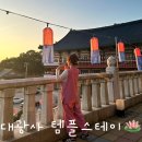 노을자원 | 서울 근교 템플스테이 가을힐링여행 | 성남 분당 대광사🪷 예약/가는법/준비물/후기