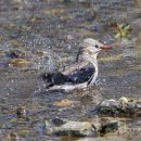 영천시화북면보건지소 이미지