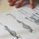 연희헬스 | 헬로바디피트니스 연희점 근막스트레칭 후기