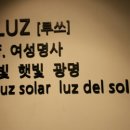 Luz헤어
