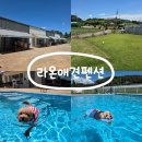 애견# | [태안] 라온애견펜션 내돈내산 후기