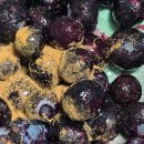 그린팜 | 쿠팡 냉동블루베리 추천🫐 그린팜 칠레산 냉동 블루베리 1kg 후기 – 꿀·시나몬과 찰떡 조합!