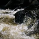 일상의 쉼표 힐링명상 이미지