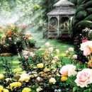 장미정원 이미지