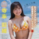 테라모토 이미지