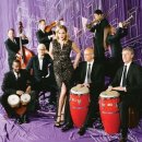PINK MARTINI(핑크 마티니) 이미지