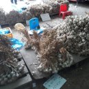 노점(일신팥죽)