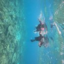 섬마 | 신혼여행8 몰디브 로컬섬 마푸시섬에서 어드벤처트립(스노쿨링 등) 한 후기