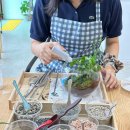 춘자네다육이 | 진주 테라가든 :: 테라리움 원데이클래스가 재미있는 가좌동공방