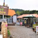 울릉도라지상회